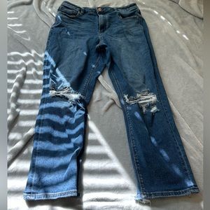 American Eagle Mom jeans 14r